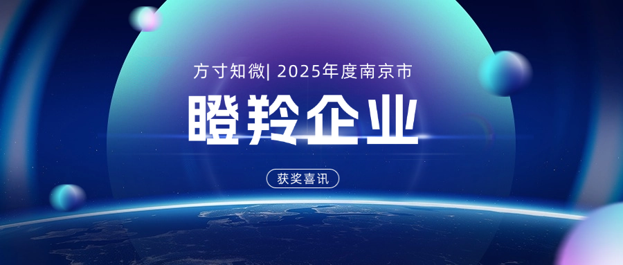 获奖喜讯 | 方寸知微被评为2025年度南京市瞪羚企业